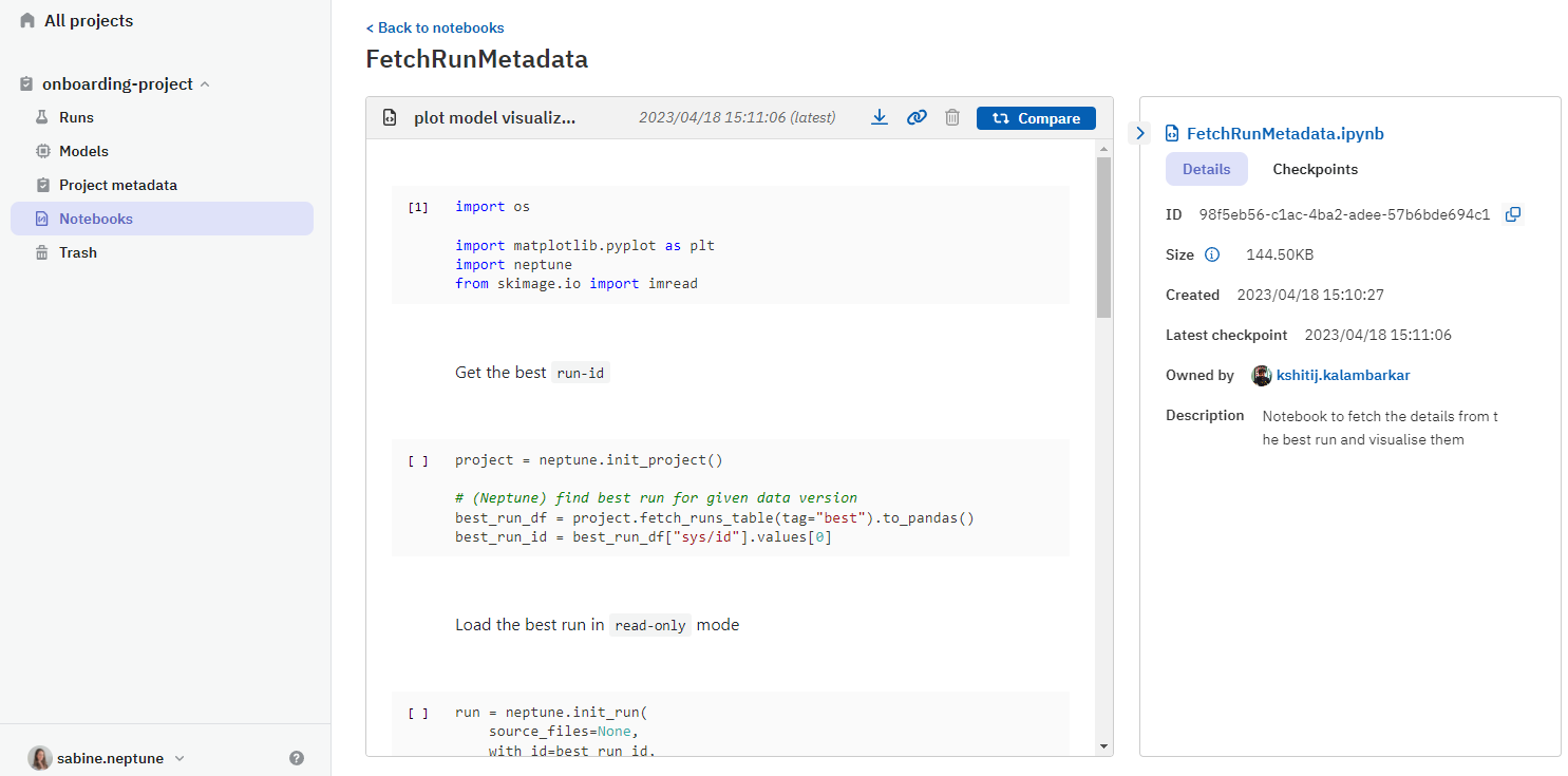 Viewing a logged notebook checkpoint in Neptune
